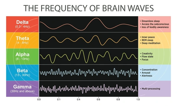 The different frequency of brain waves - the wealth signal