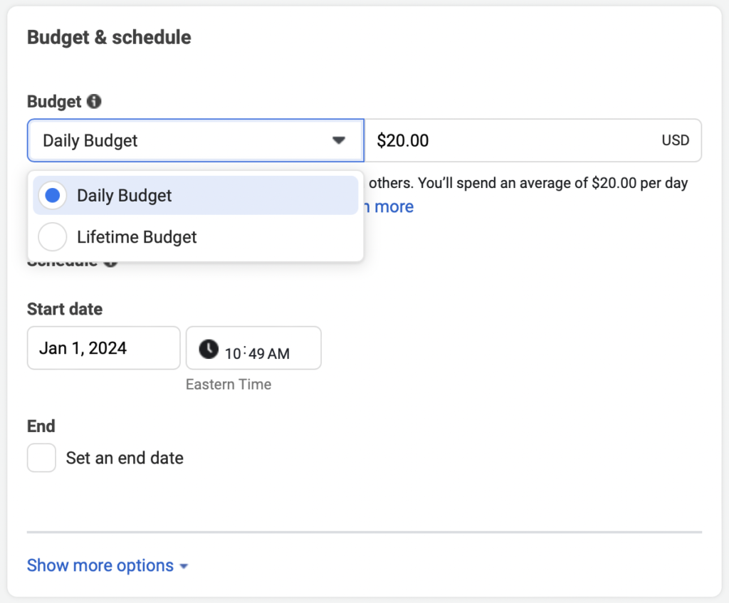 Example budget settings interface, showing daily vs. lifetime budget options - facebook ads manager