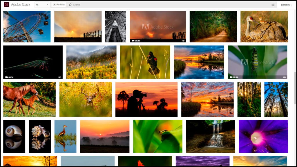 Screenshot of a stock photo contributor dashboard - make passive income