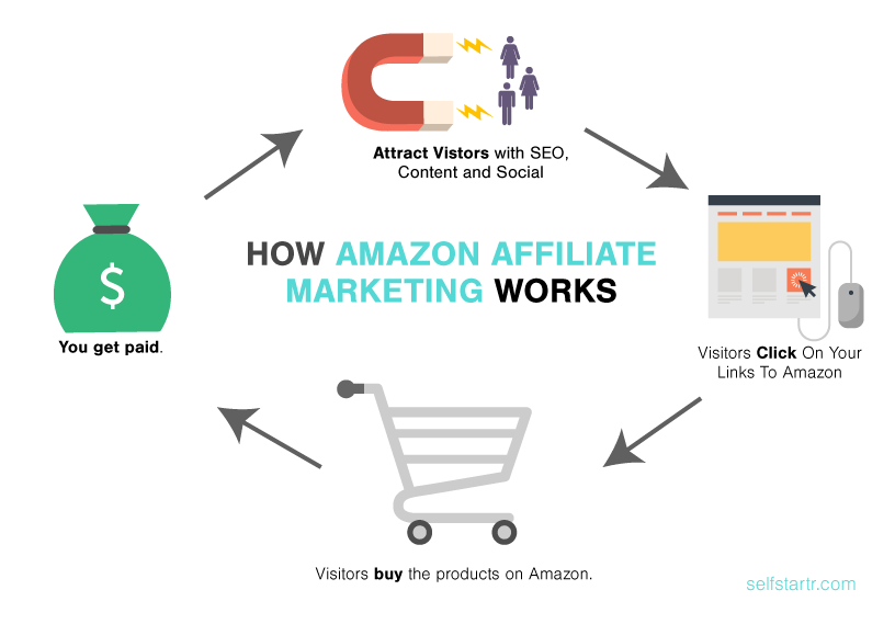 An infographic diagram of how Amazon affiliate marketing works - amazon affiliate program