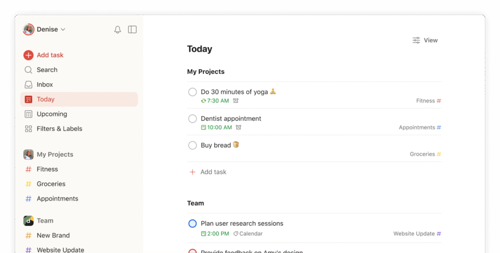 Todoist app interface showing daily tasks - productivity tools